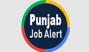 Punjab Job Alert: रोजगार चाहने वालों के लिए बड़ी ख़बर, पंजाब सरकार ने की यह घोषणा