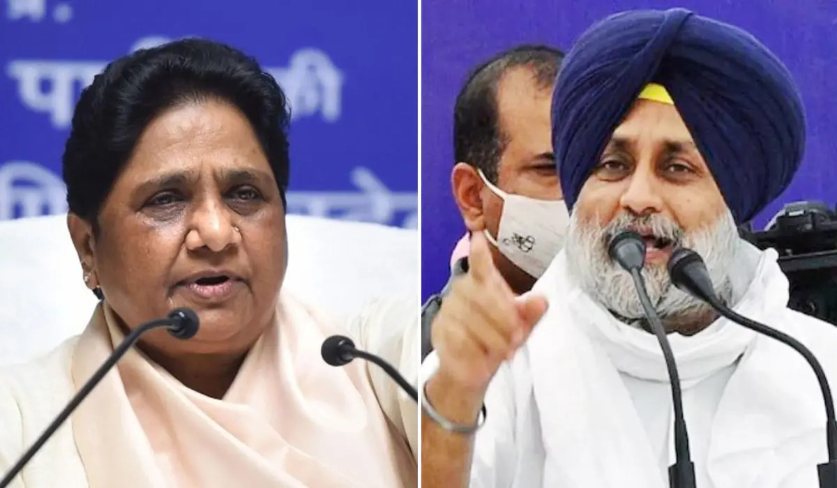 Jalandhar by-election: अकाली दल के समर्थन पर BSP ने जताया आभार, कांग्रेस पर साधा निशाना