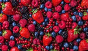 स्वादिष्ट गुणों का खजाना: इन 6 Indian Berries के सेहतमंद फायदे