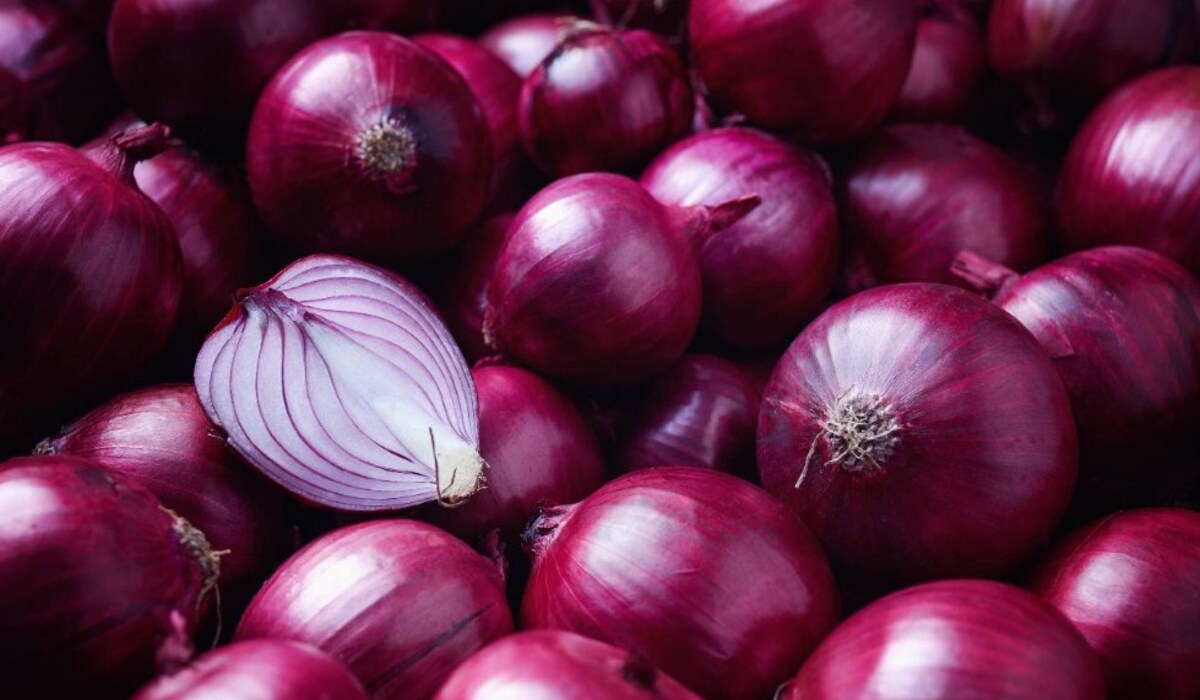 Benefits of onion: जाने कच्ची प्याज़ के फायदे कइससे ये बीमारिया भी हो सकती है ठीक, लिवर की सूजन को भी कर सकता है कम