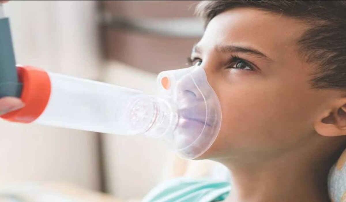 Asthma: क्या high zinc युक्त आहार बच्चों में दमा का जोखिम को कम कर सकता है? नई अध्ययन में दिलचस्प खुलासा