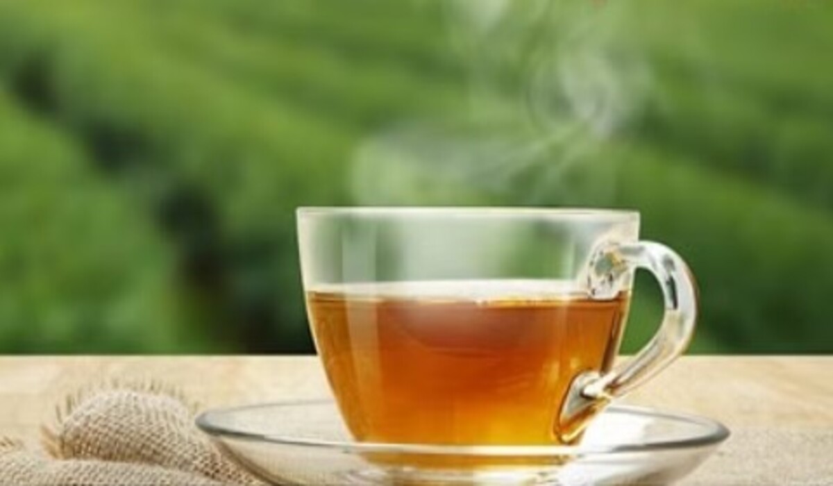 Mental Health: Green tea मन को तेज़ बना सकती है, मानसिक कार्यों का प्रदर्शन में वृद्धि हो सकती है!