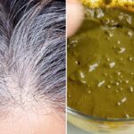 Hair Care Tips: इस प्रकार लगाएं बालों में मेहंदी और नीलपत्ती, हर सफेद बाल हो जाएंगे काले