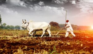 PM Kisan Yojana: किसानो के लिए ख़ुशी का अवसर, PM किसान योजना के हेल्पलाइन नंबरों का नोट करें