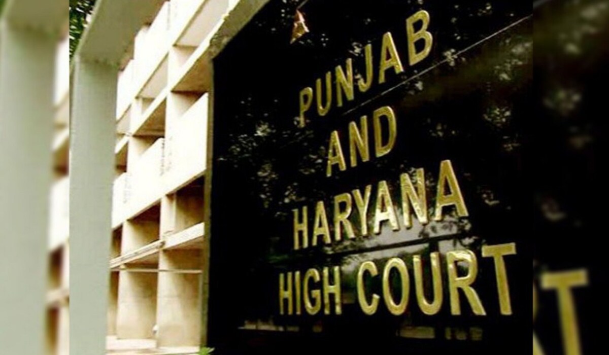 Highcourt: गर्भवती कैदी को डिलीवरी के बाद एक वर्ष के अंतरिम जमानत, अगर गर्भपात होता है तो 30 दिनों के भीतर सरेंडर करना होगा