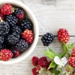 स्वादिष्ट गुणों का खजाना: इन 6 Indian Berries के सेहतमंद फायदे