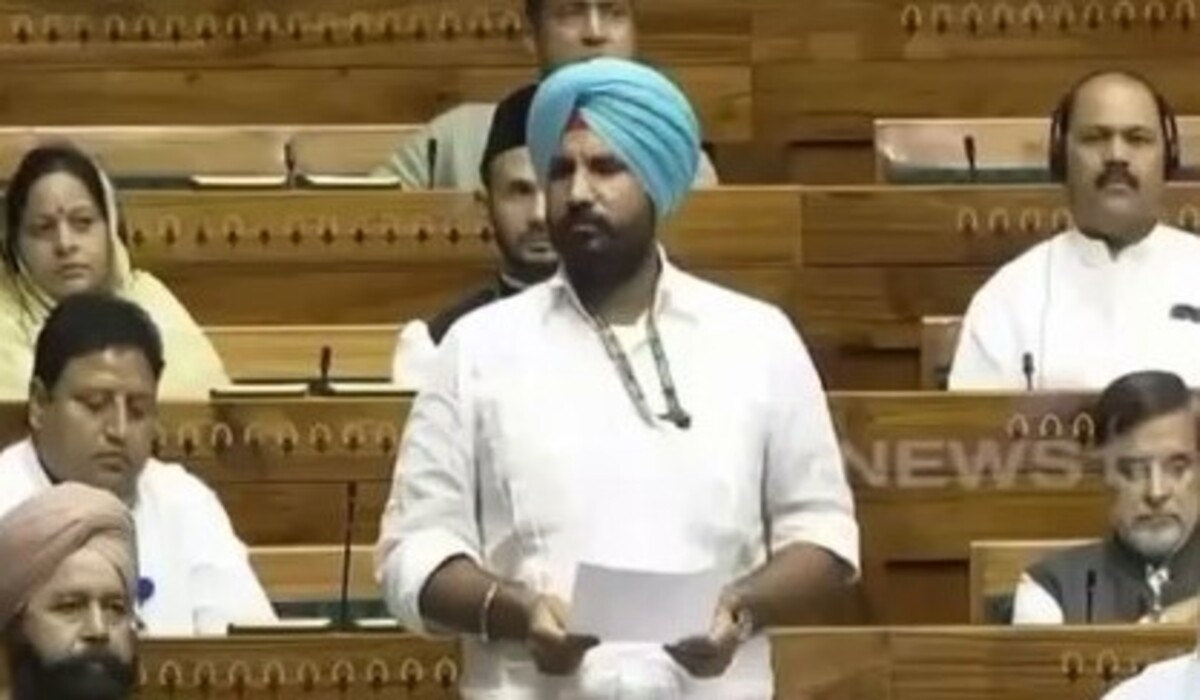 सैनिकों से किसानों तक... Amarinder Singh Brar ने संसद में सरकार को इन मामलों पर कसा तंजा