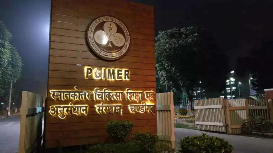 PGI में हड़ताल का हल्ला: सफाई और सेवाएं बेहाल, मरीजों की हालत खस्ता