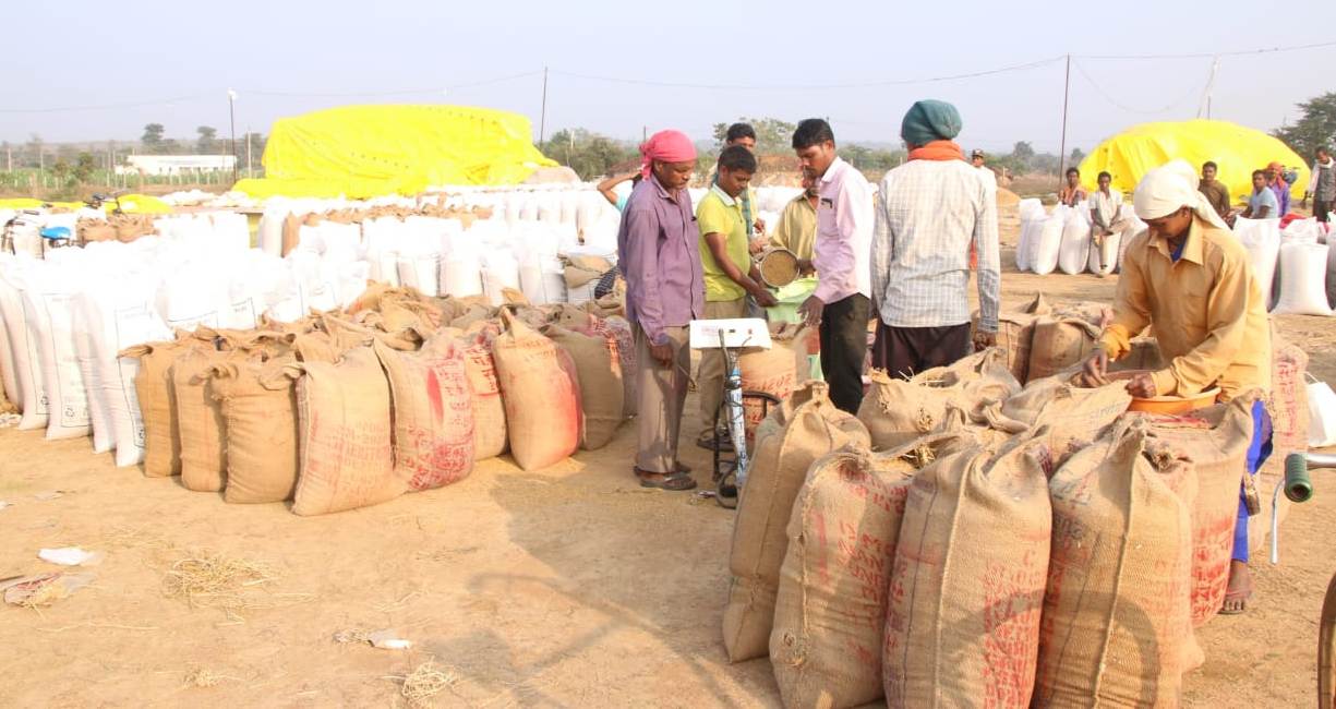 PADDY PROCUREMENT IN HARYANA