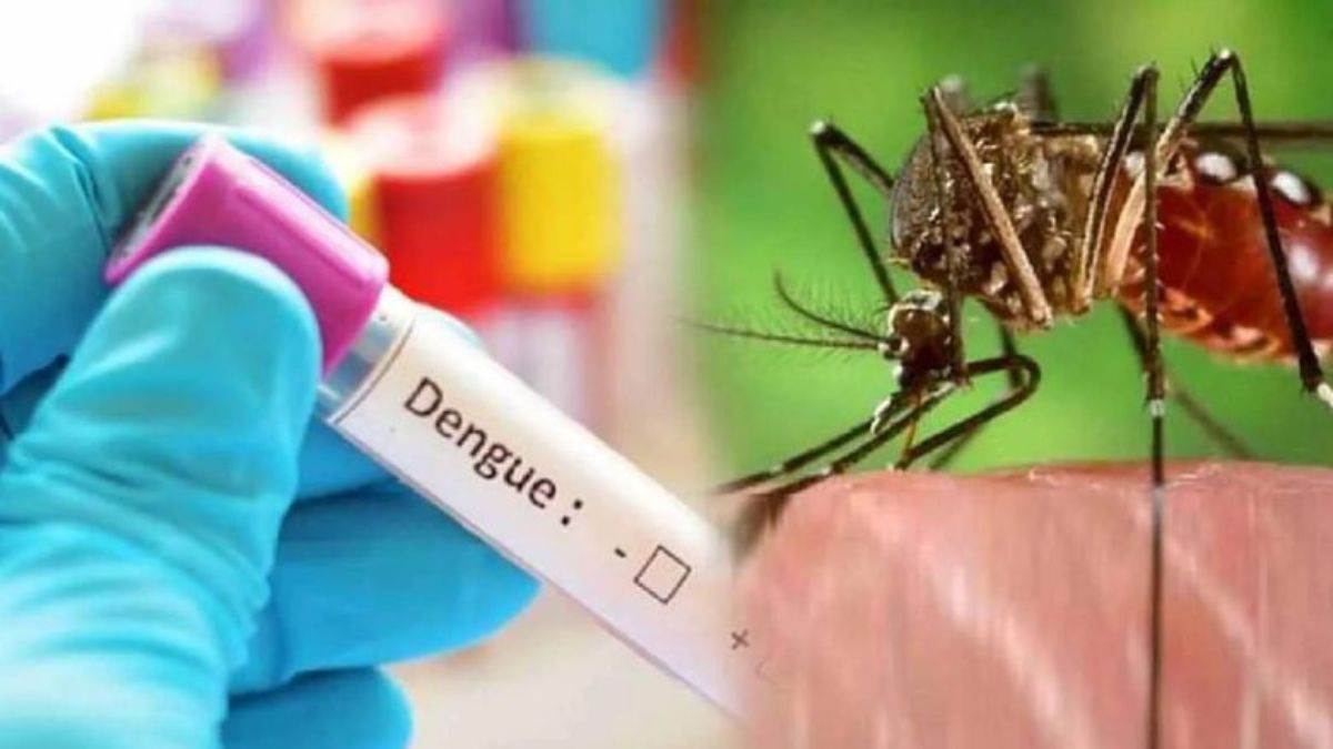 Dengue