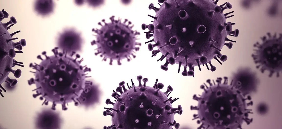 influenza virus