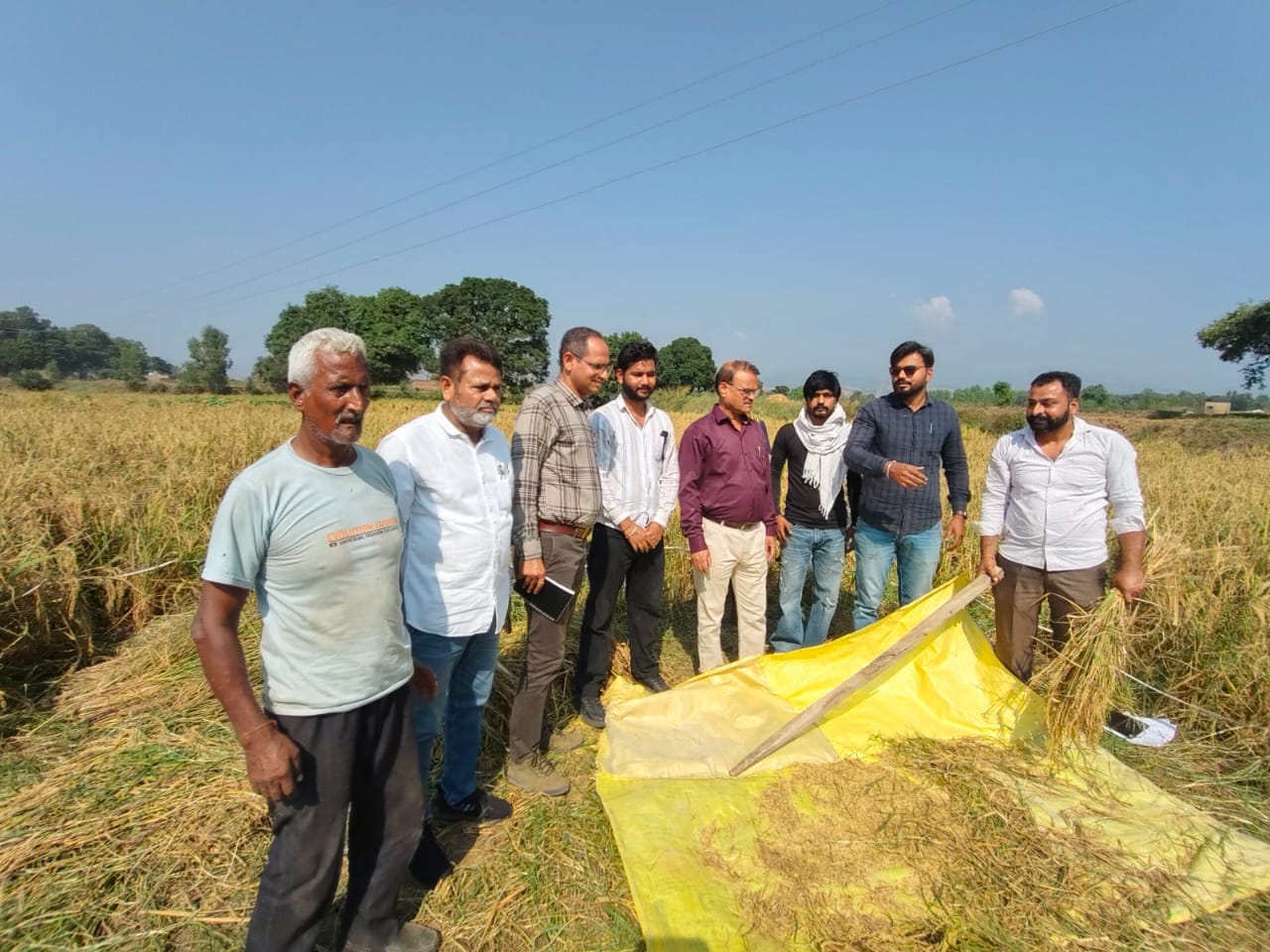 किसानों के हित में सरकार का कदम: फसल कटाई प्रयोगों से मिलेगा सही आकलन!