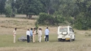 Bandhavgarh Elephant Deaths