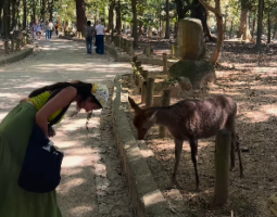 Japan : Nara