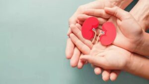 बस डाइट में शामिल करें ये 5 सुपरफूड्स, Kidney सालों तक रहेंगी स्वस्थ!