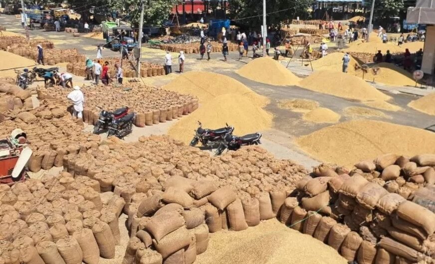 धान खरीद में तेजी, बारिश से बचाव के निर्देश