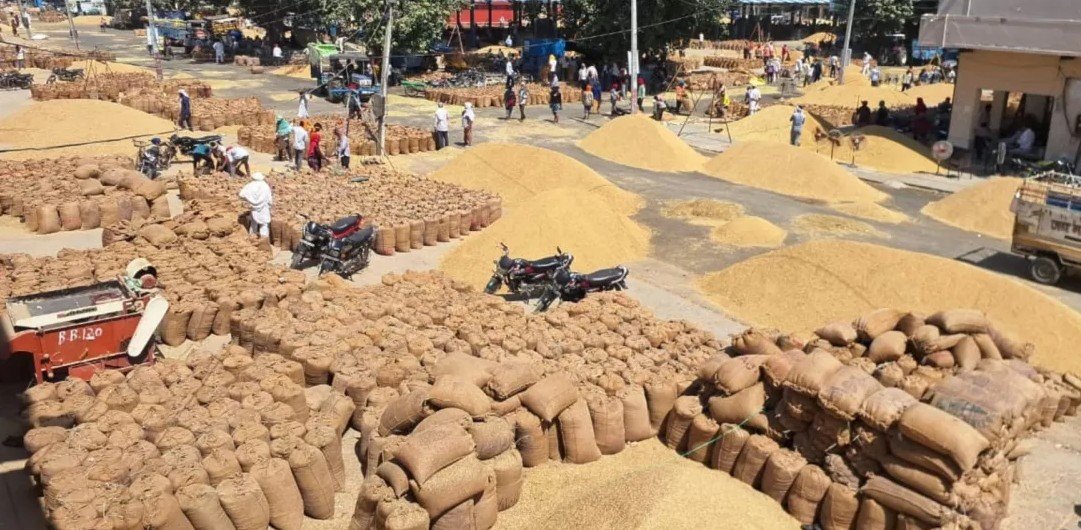 धान खरीद में तेजी, बारिश से बचाव के निर्देश