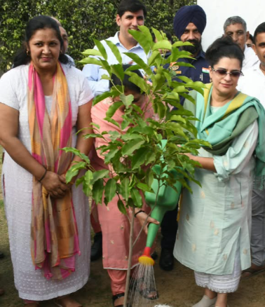 झज्जर में 37.50 करोड़ की सिंचाई योजनाएं शुरू