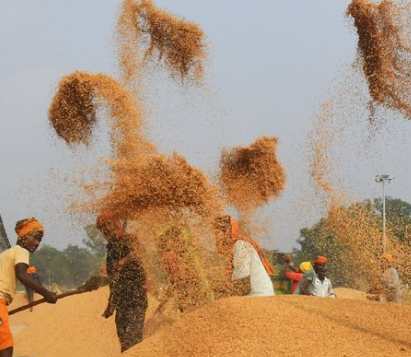 पंजाब में धान खरीद के लिए ₹2,511 करोड़ का भुगतान